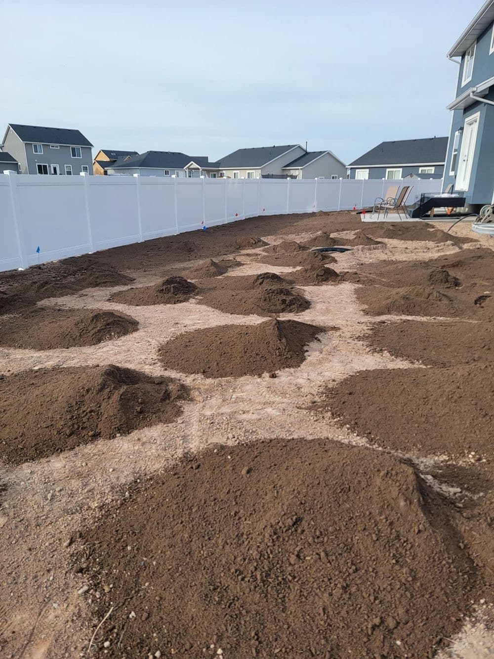 Prepared garden bed with mounds of dirt in a residential backyard, surrounded by houses.